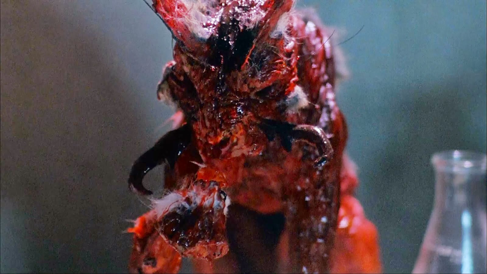 the nest cat monster