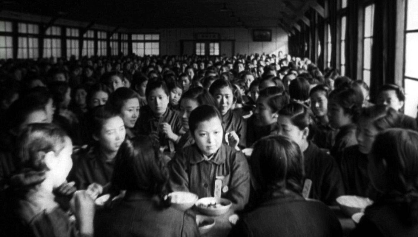 the most beautiful header image