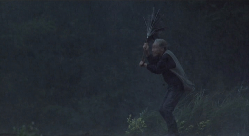 rhapsody in august header