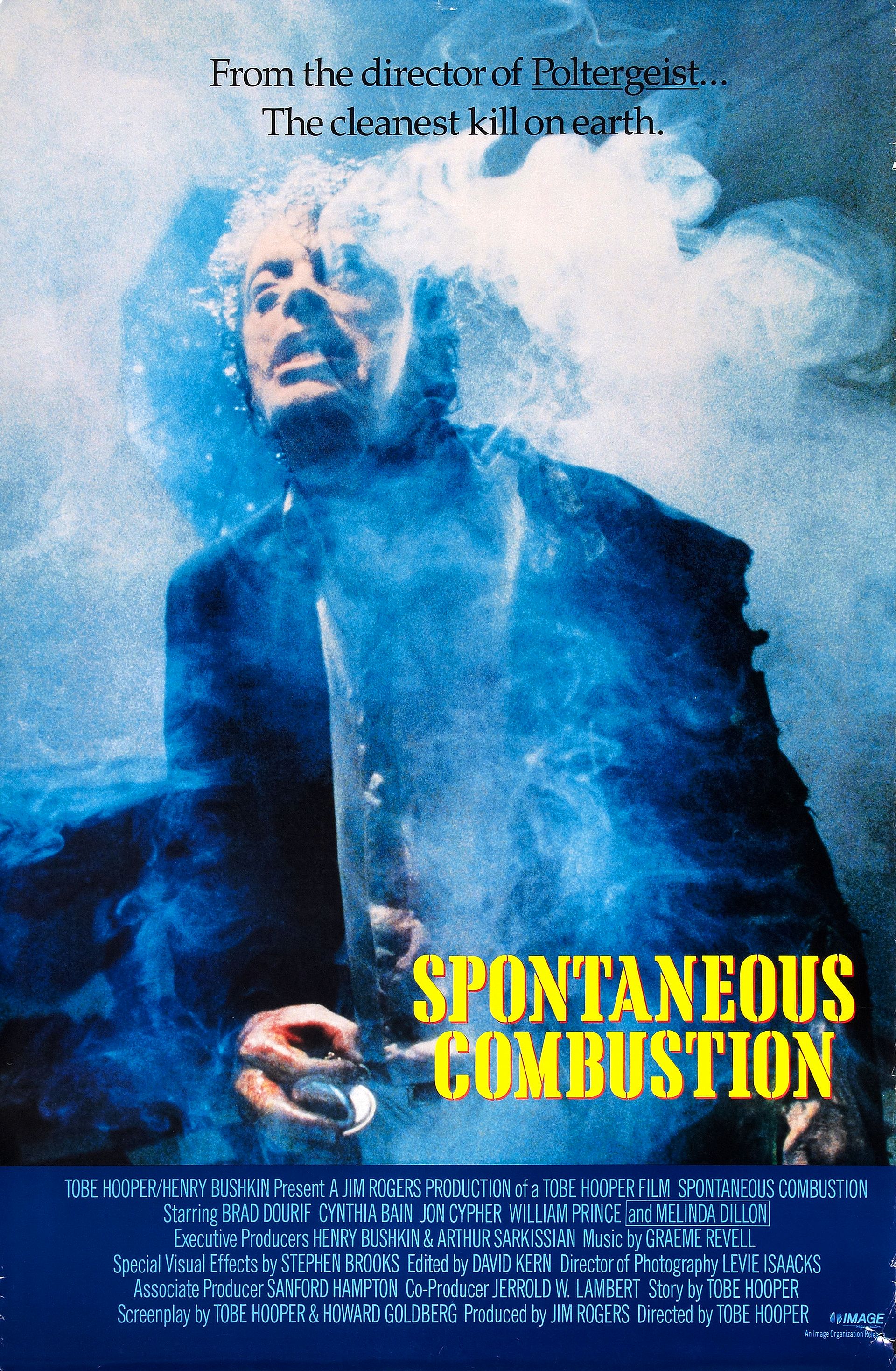 spontaneous combustion poster